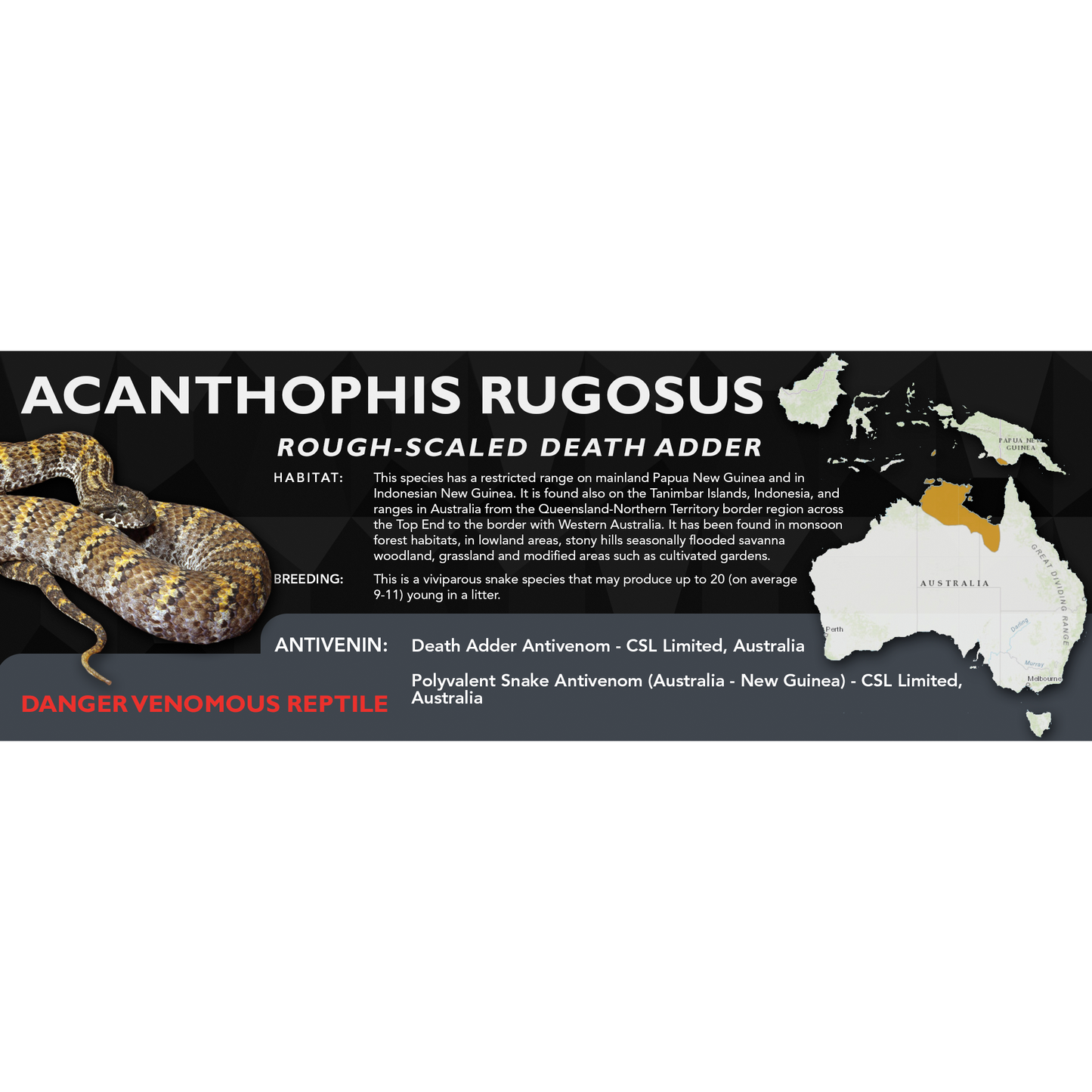 Rough-Scaled Death Adder (Acanthophis rugosus) Classic Vivarium Label