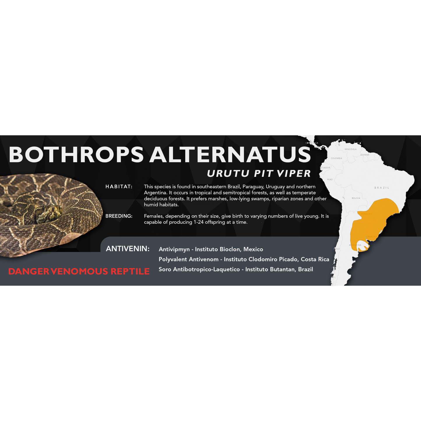 Urutu Pit Viper (Bothrops alternatus) Classic Vivarium Label