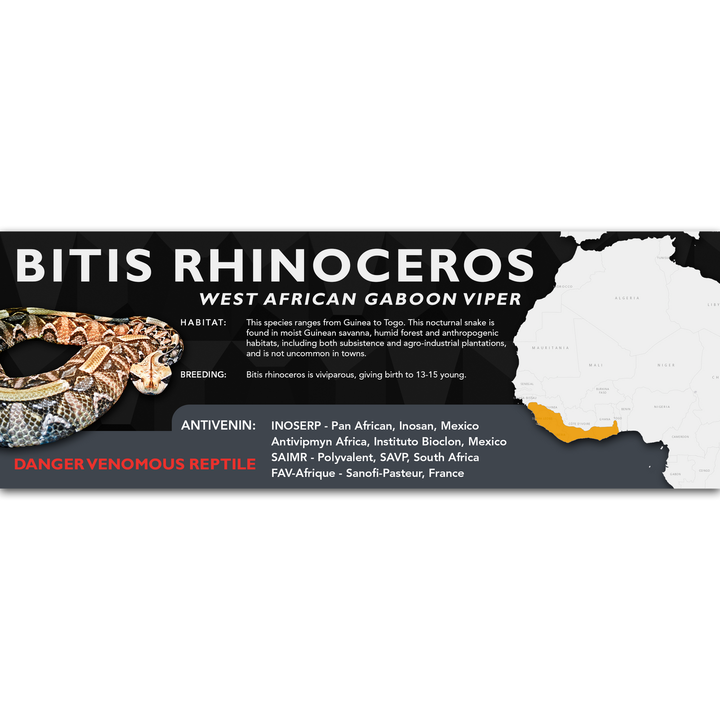 West African Gaboon Viper (Bitis rhinoceros) Classic Vivarium Label