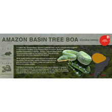 Load image into Gallery viewer, Amazon Basin Tree Boa (Corallus batesii) - Black Series Vivarium Label