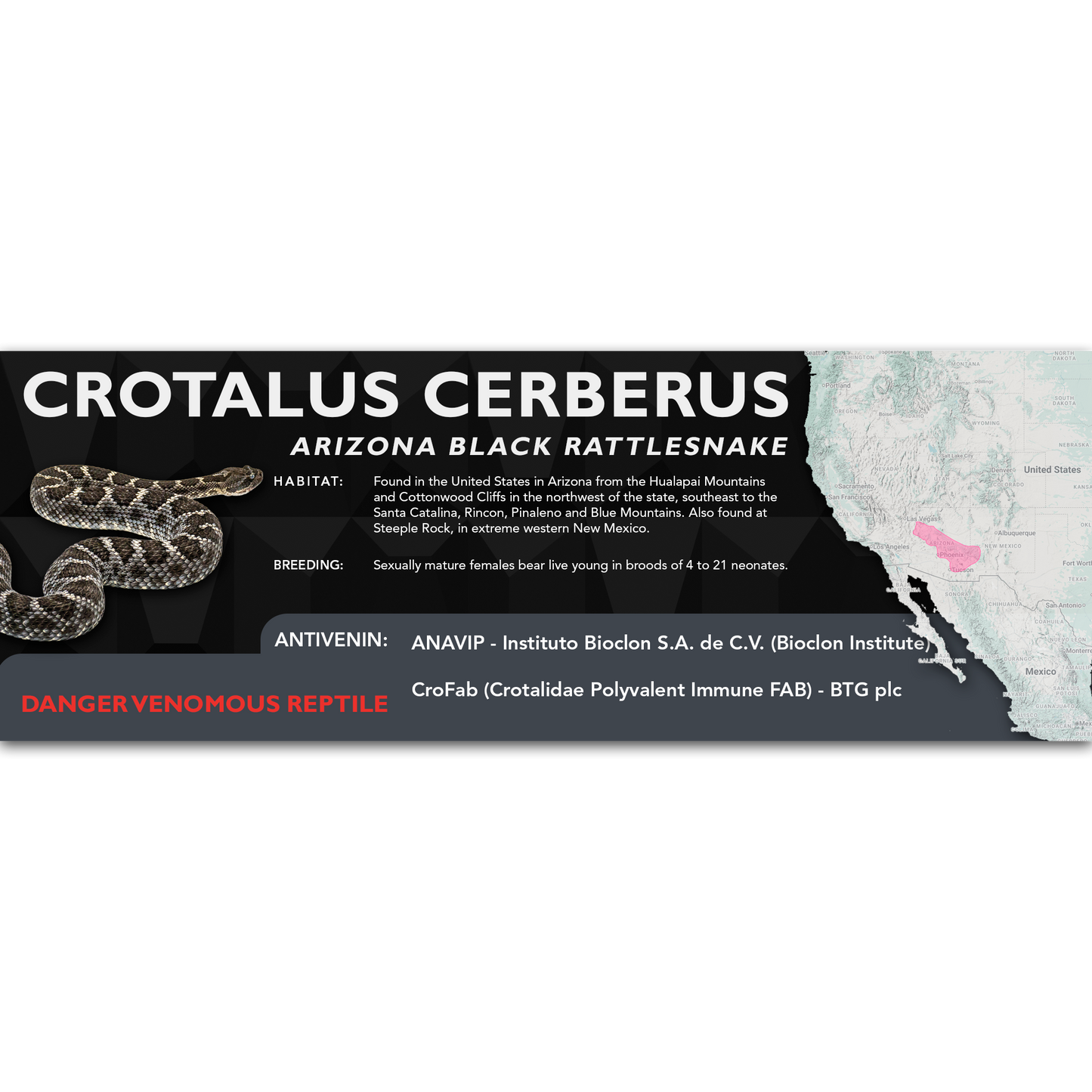 Arizona Black Rattlesnake (Crotalus cerberus) Classic Vivarium Label
