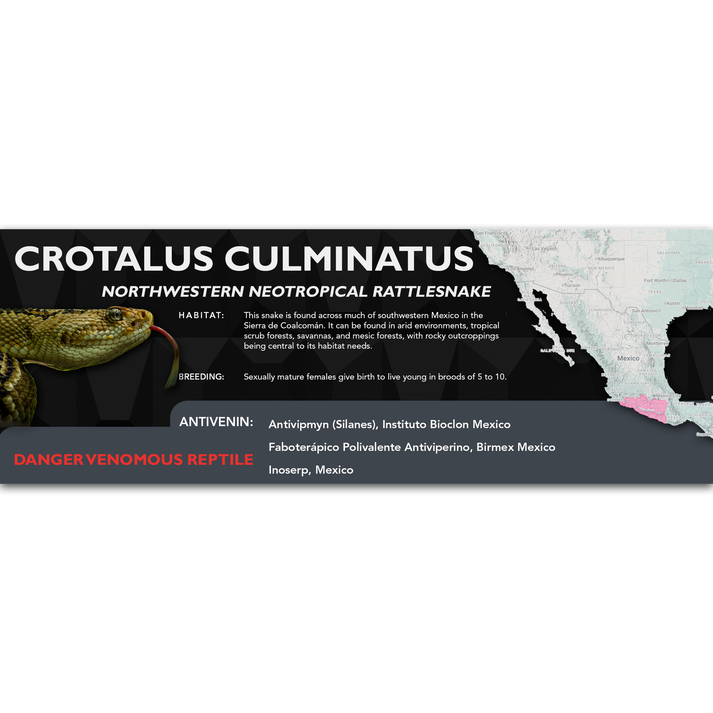 Northwestern Neotropical Rattlesnake (Crotalus culminatus) Classic Vivarium Label