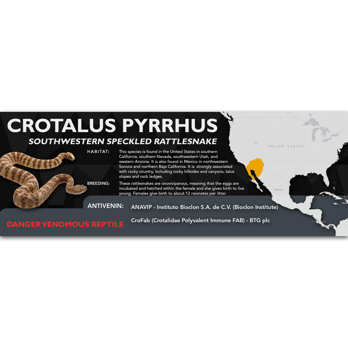 Southwestern Speckled Rattlesnake (Crotalus pyrrhus) Classic Vivarium Label