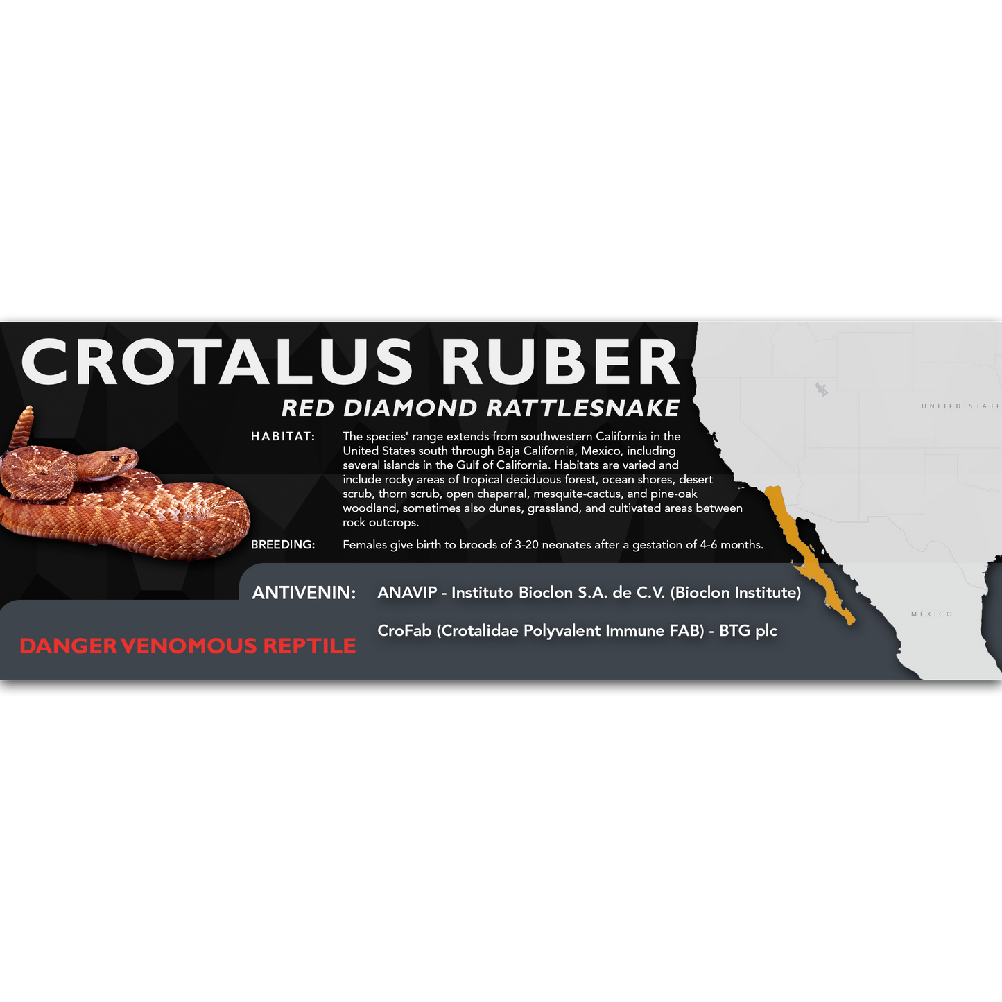 Red Diamond Rattlesnake (Crotalus ruber) Classic Vivarium Label