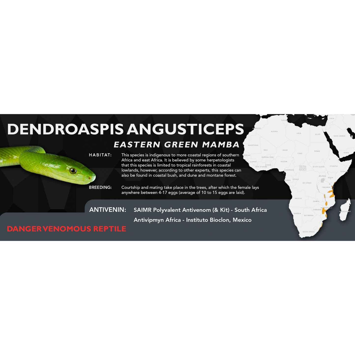 Eastern Green Mamba (Dendroaspis angusticeps) Classic Vivarium Label