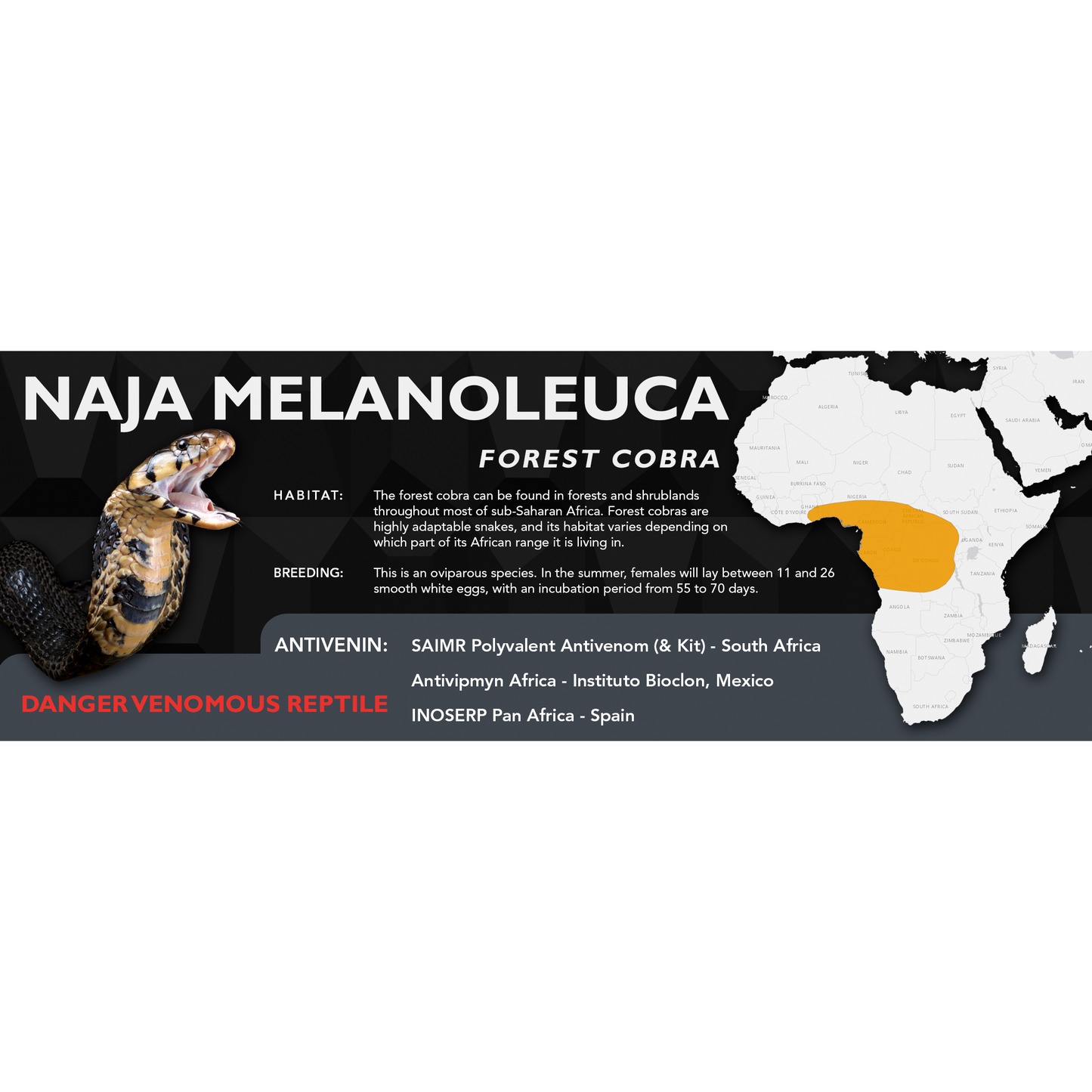 Forest Cobra (Naja melanoleuca) Classic Vivarium Label