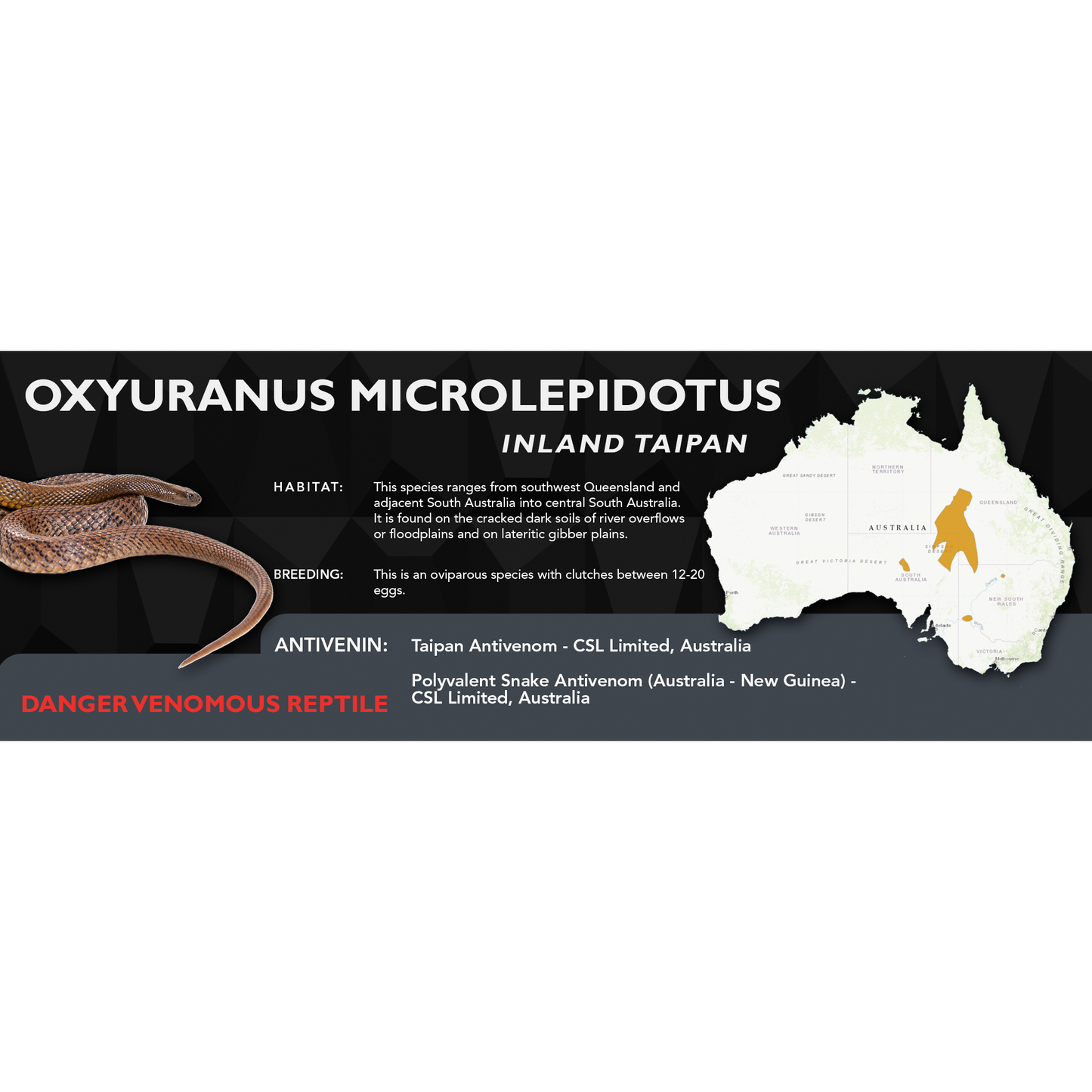 Inland Taipan (Oxyuranus microlepidotus) Classic Vivarium Label