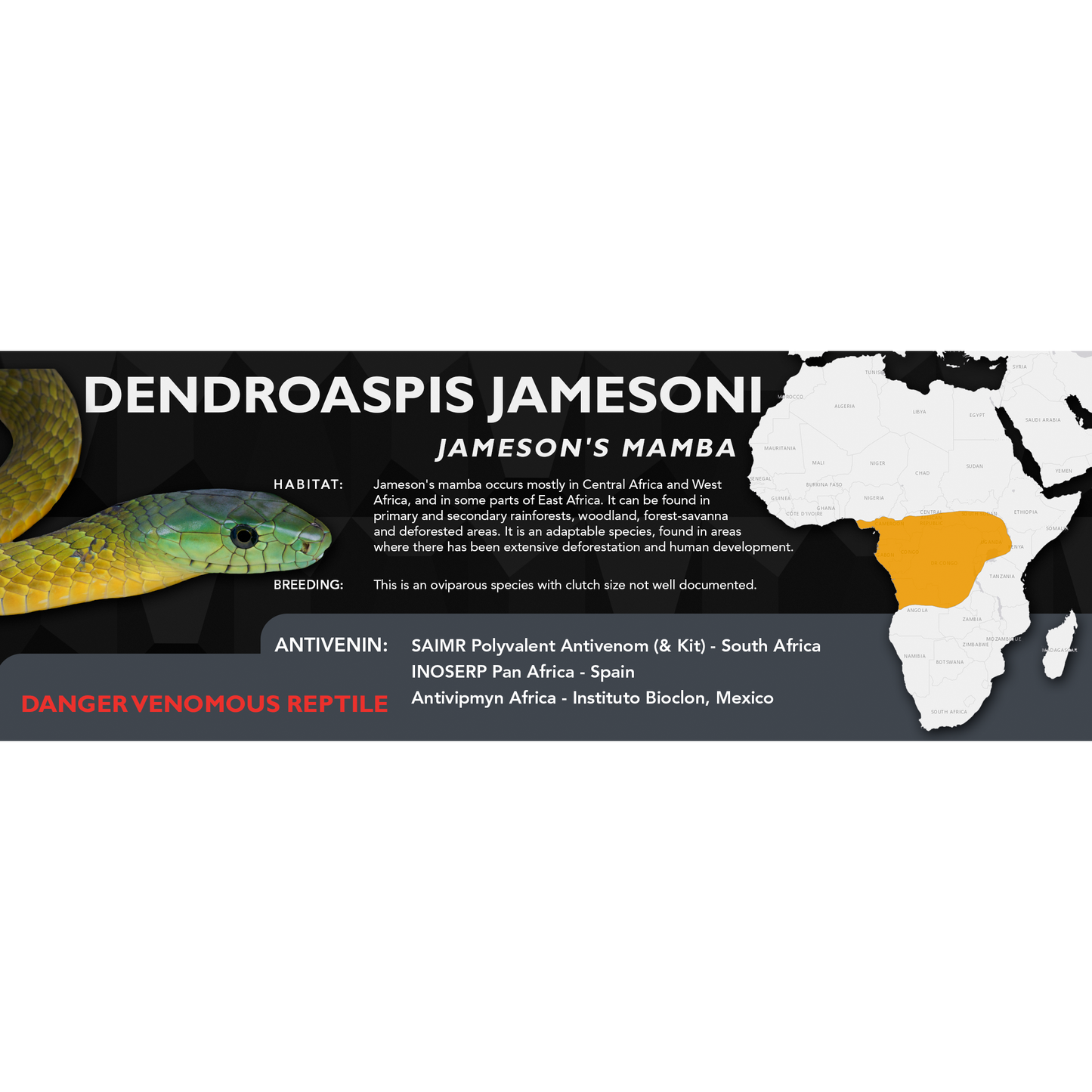 Jameson's Mamba (Dendroaspis jamesoni) Classic Vivarium Label