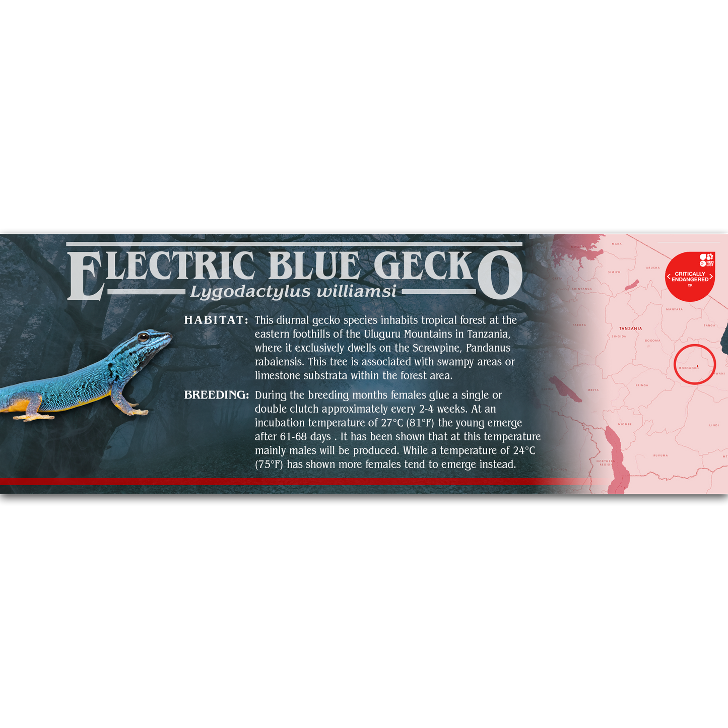 Stranger Species Special Edition Halloween Vivarium Label