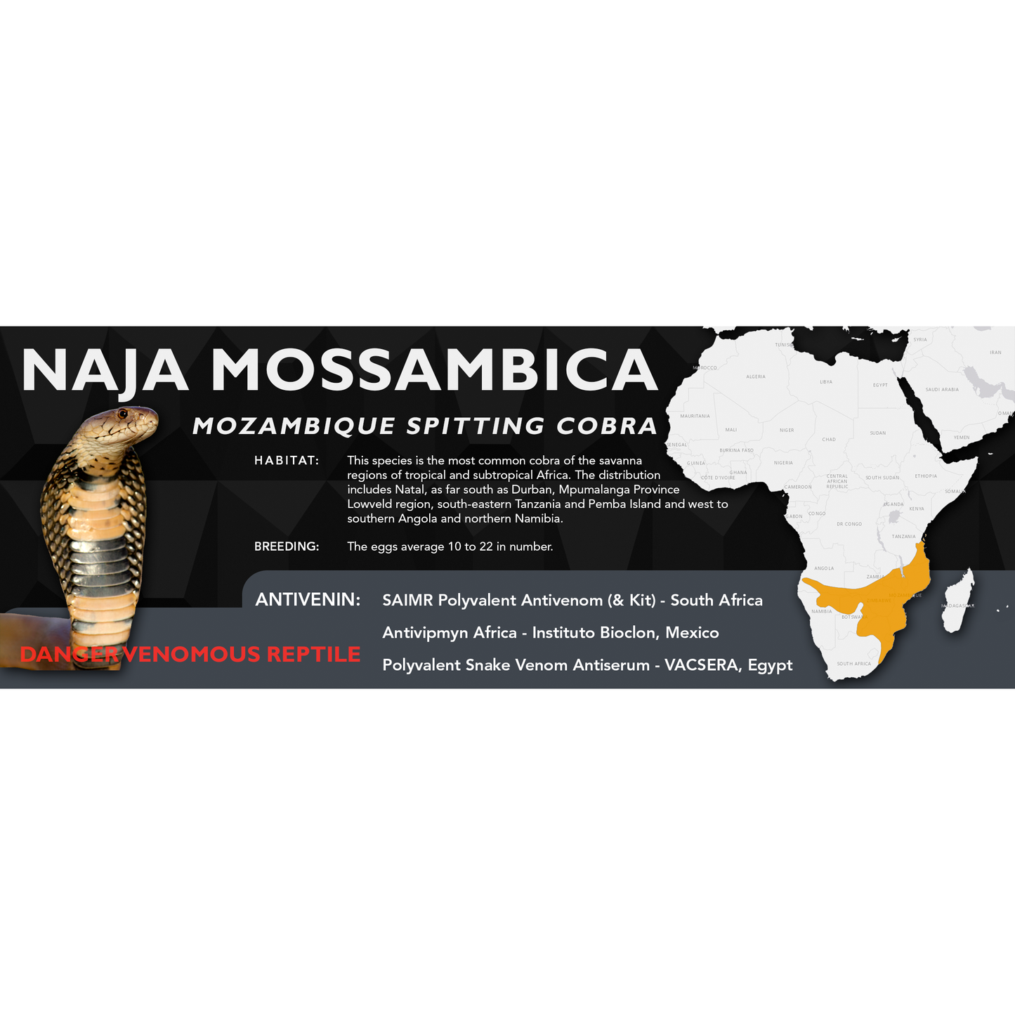 Mozambique Spitting Cobra (Naja mossambica) Classic Vivarium Label