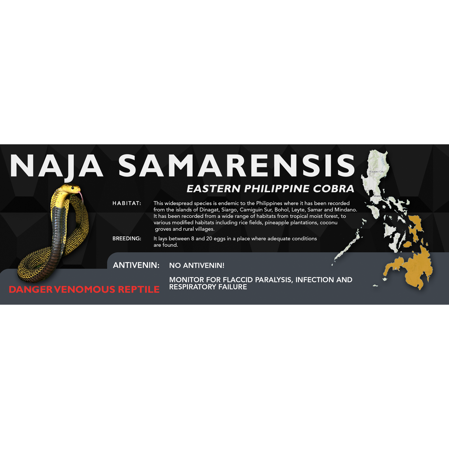 Eastern Philippine Cobra (Naja samarensis) Classic Vivarium Label