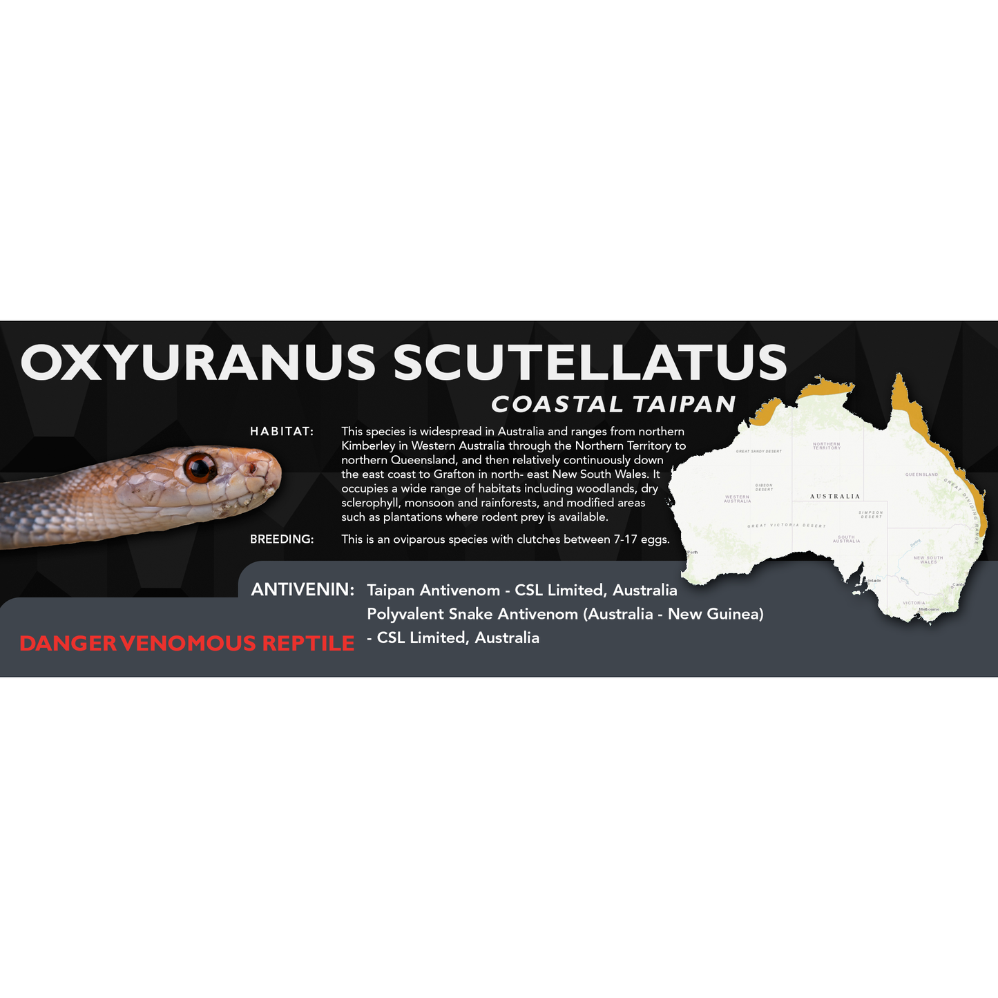 Coastal Taipan (Oxyuranus scutellatus) Classic Vivarium Label