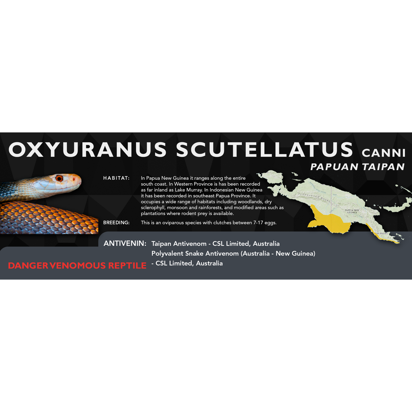 Papuan Taipan (Oxyuranus scutellatus canni) Classic Vivarium Label