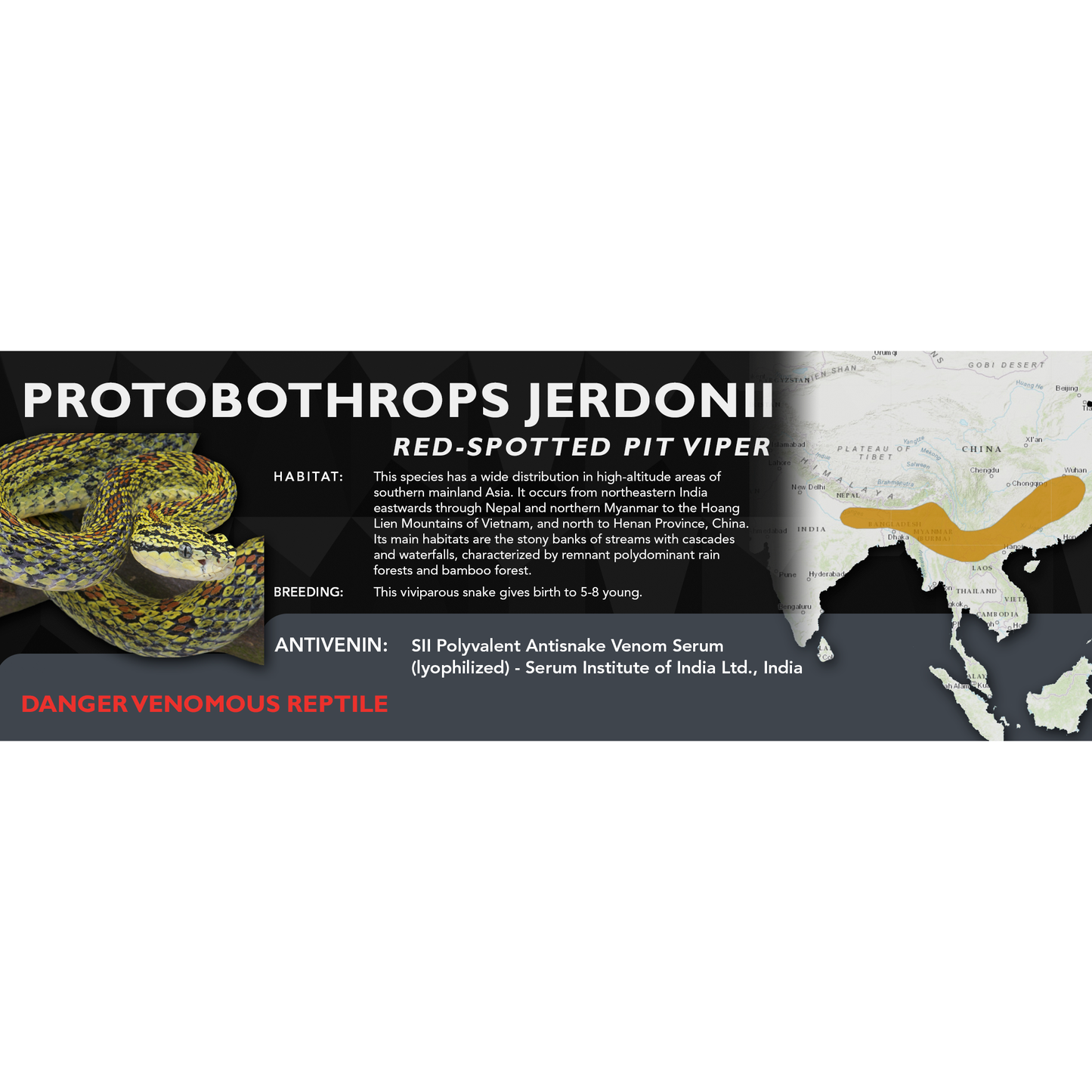 Red-Spotted Pit Viper (Protobothrops jerdonii) Classic Vivarium Label