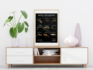 Geckos of New Caledonia - 18" x 24" Poster - Animals of the World Poster Series #2
