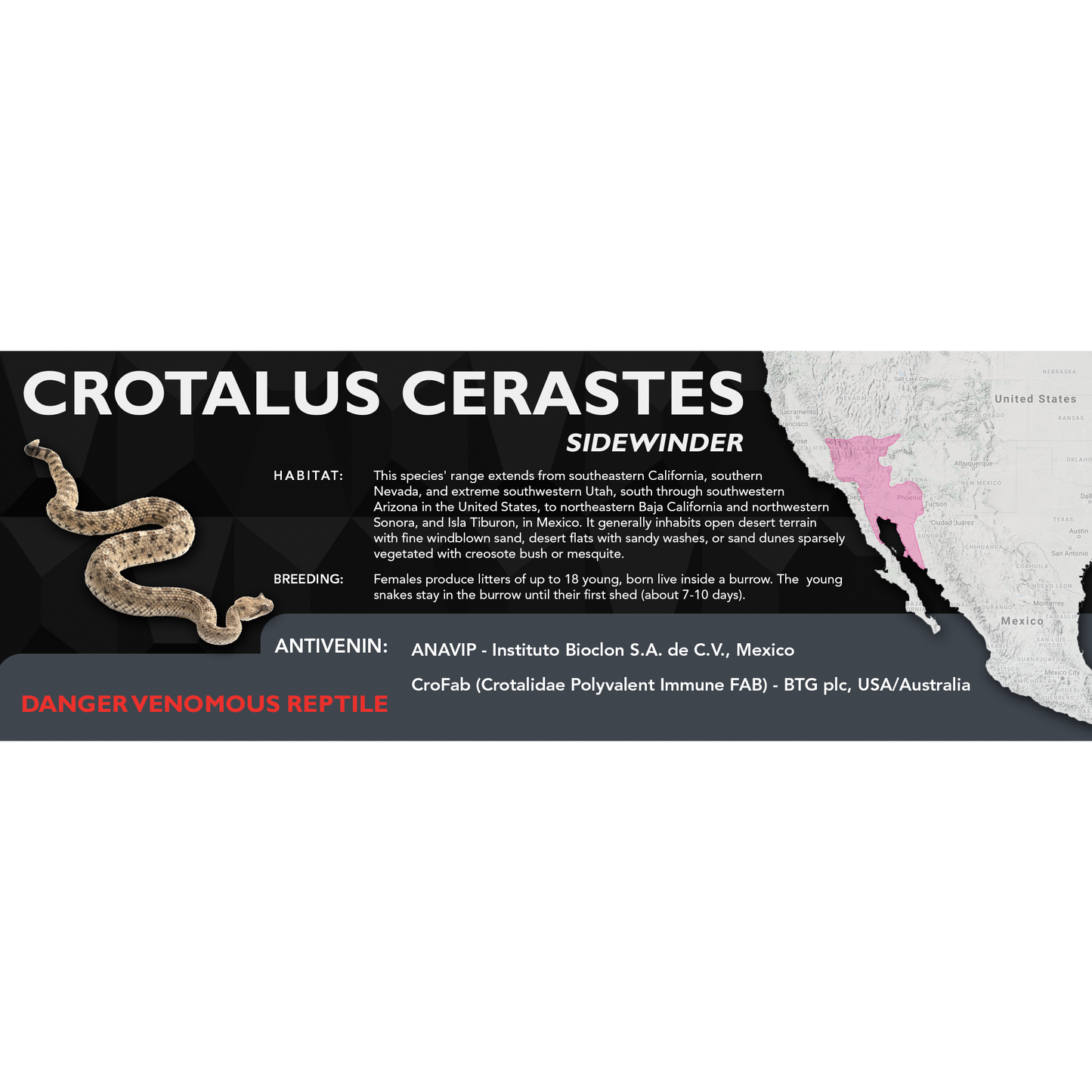 Sidewinder (Crotalus cerastes) Classic Vivarium Label