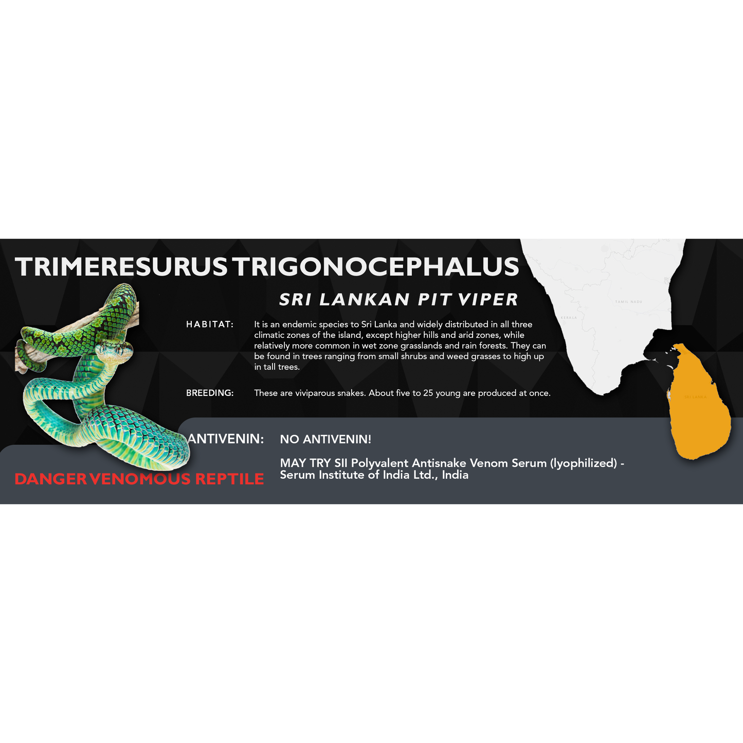 Sri Lankan Pit Viper (Trimeresurus trigonocephalus) Classic Vivarium Label