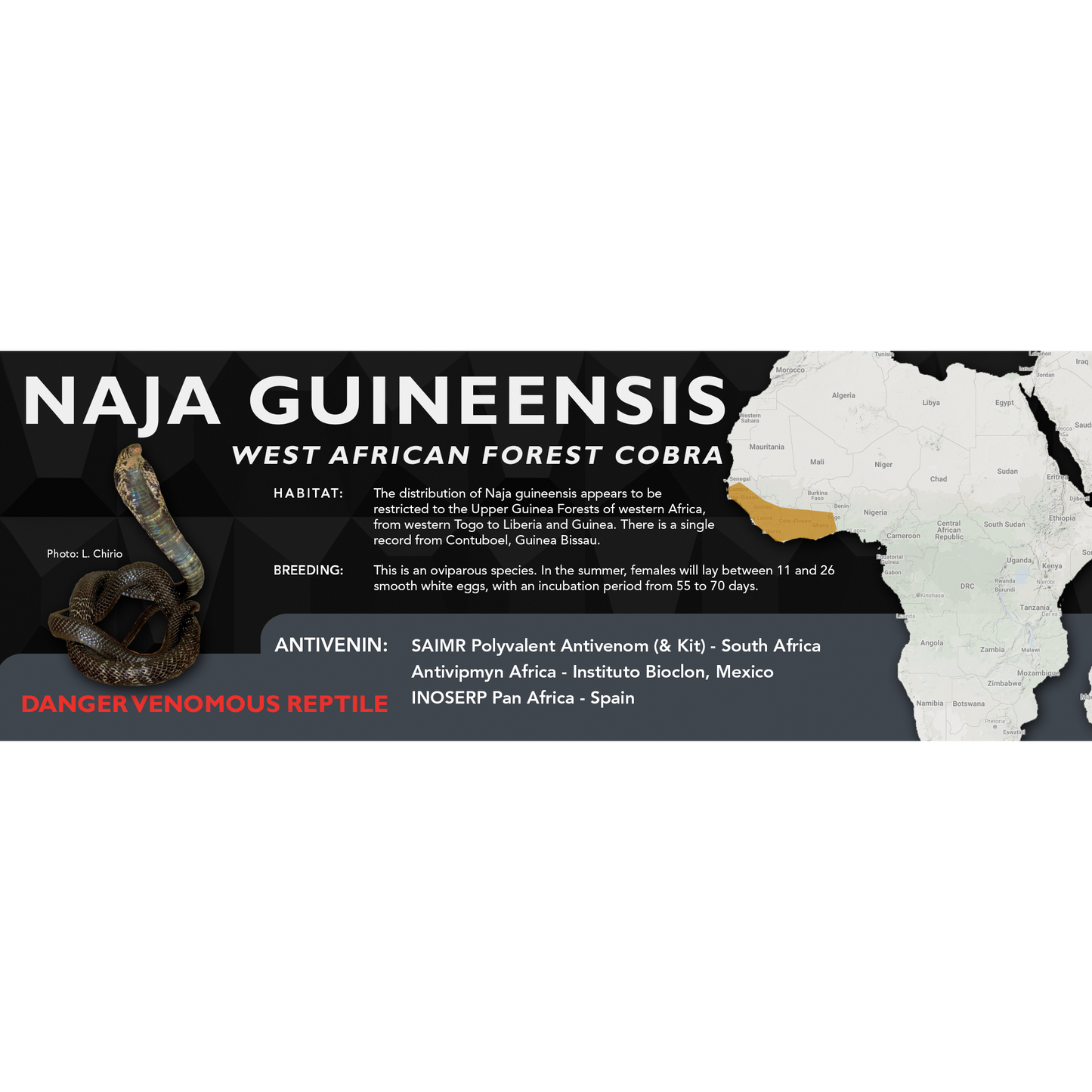 West African Forest Cobra (Naja guineensis) Classic Vivarium Label