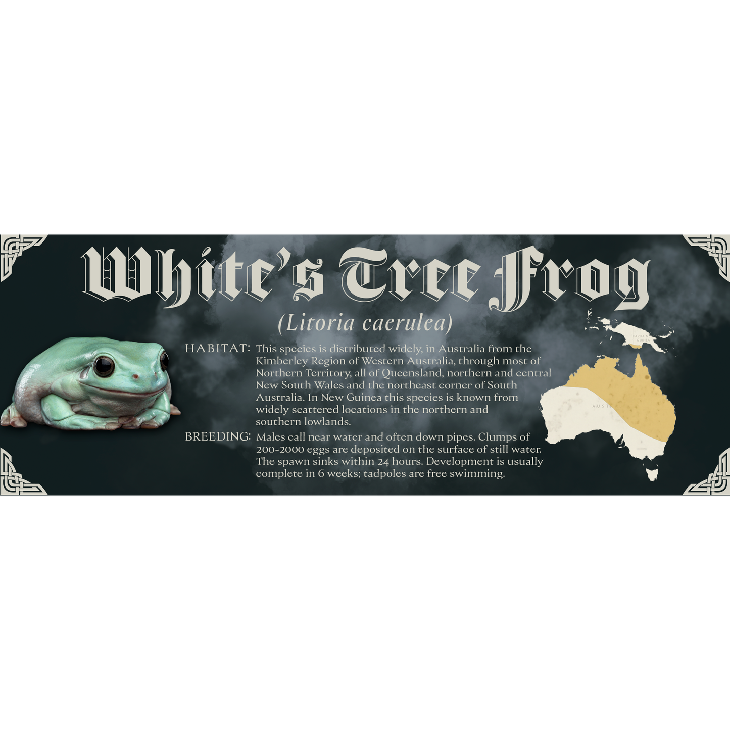 The Dark Mark - Gothic Style Special Edition Halloween Vivarium Label