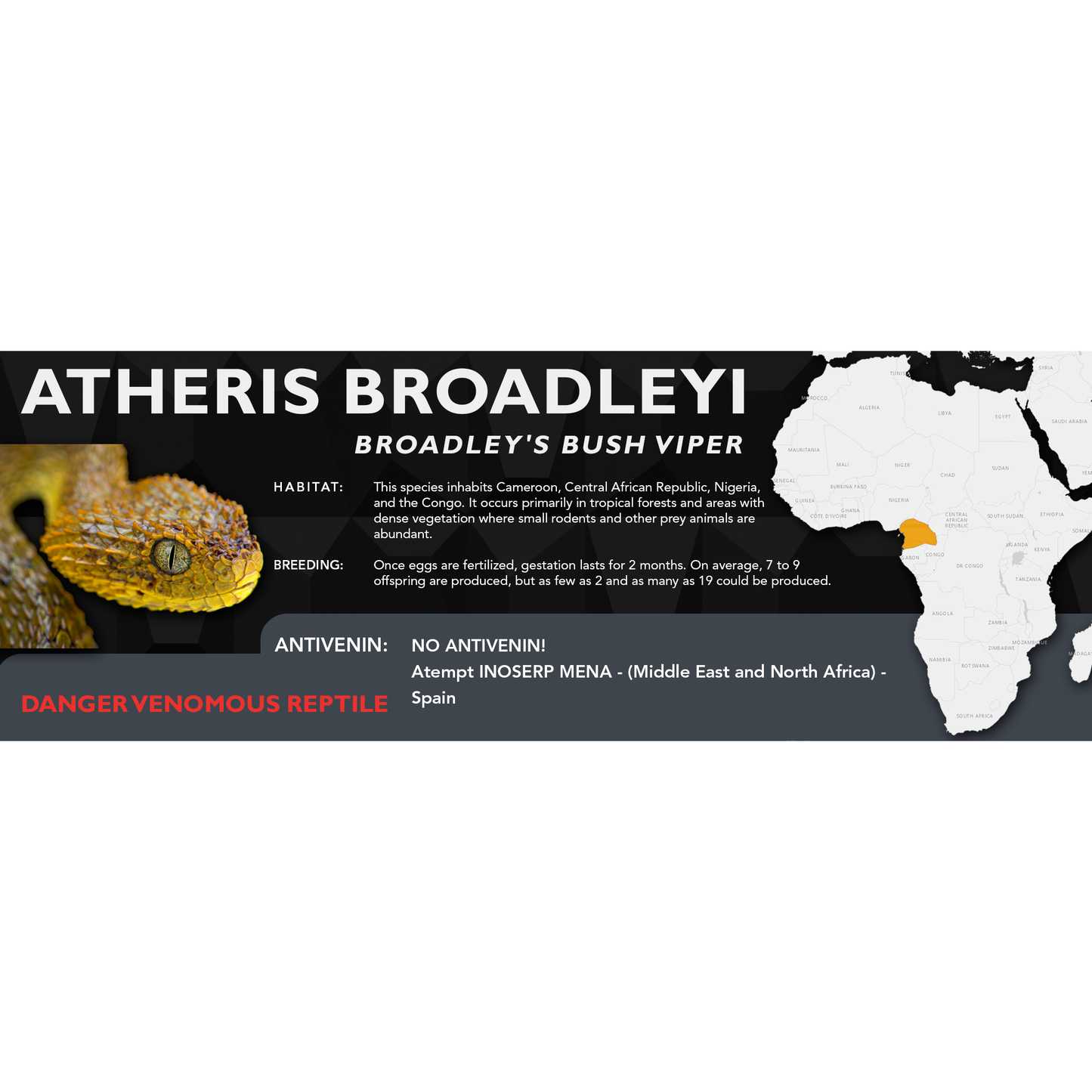 Broadley's Bush Viper (Atheris broadleyi) Classic Vivarium Label
