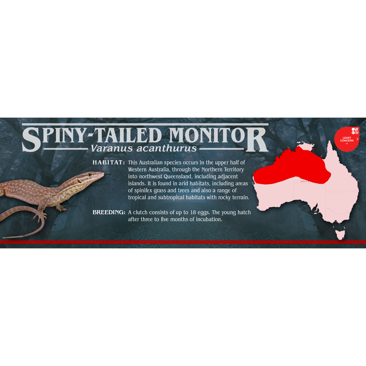 Stranger Species Special Edition Halloween Vivarium Label