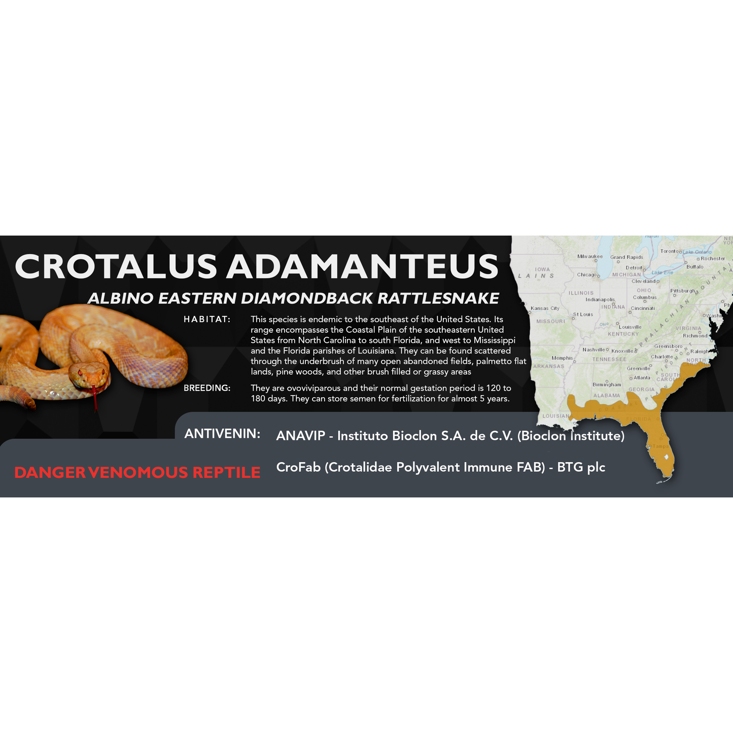 Eastern Diamondback Rattlesnake (Crotalus adamanteus) Classic Vivarium Label