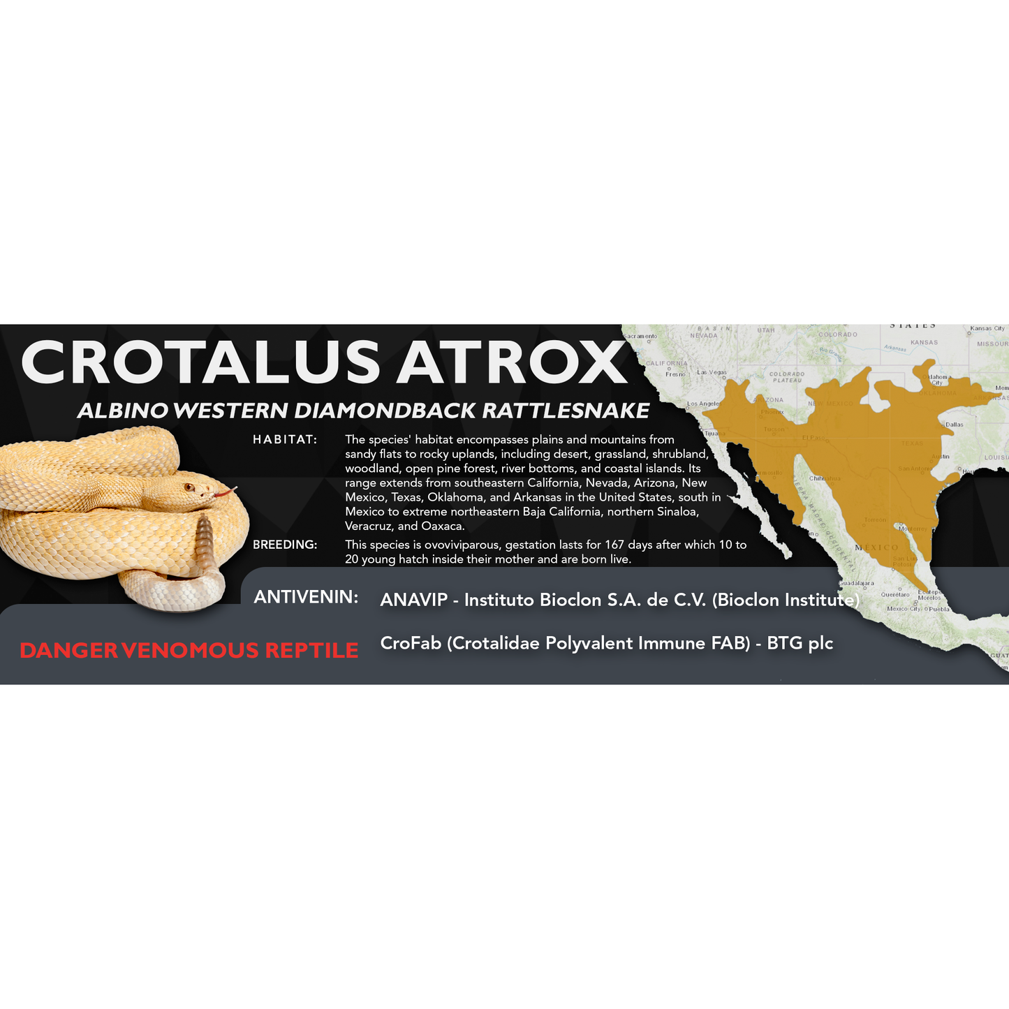 Western Diamondback Rattlesnake (Crotalus atrox) Classic Vivarium Label
