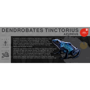 Dendrobates tinctorius "Azureus" - Black Series Vivarium Label