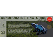 Load image into Gallery viewer, Dendrobates tinctorius &quot;Azureus&quot; - Black Series Vivarium Label