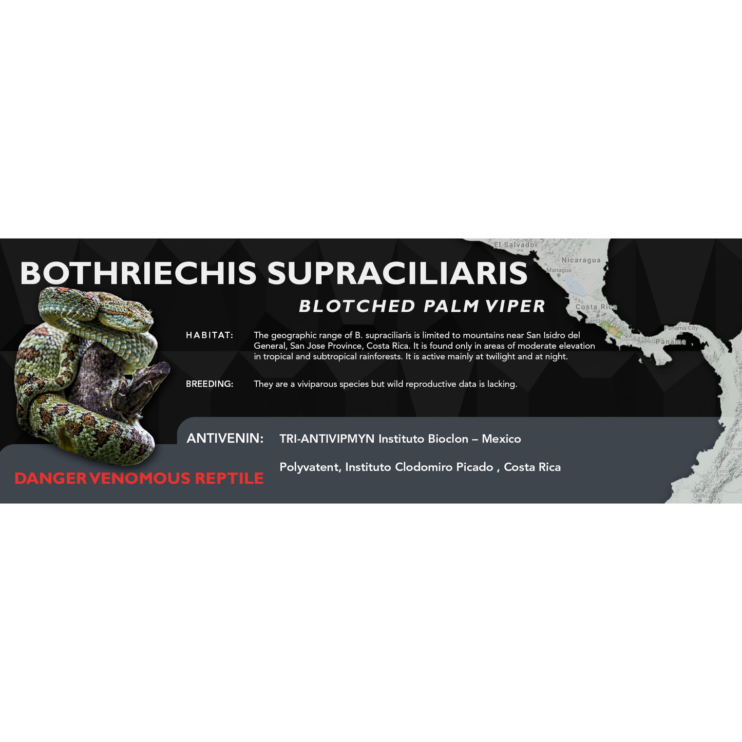 Blotched Palm Viper (Bothriechis supraciliaris) Classic Vivarium Label