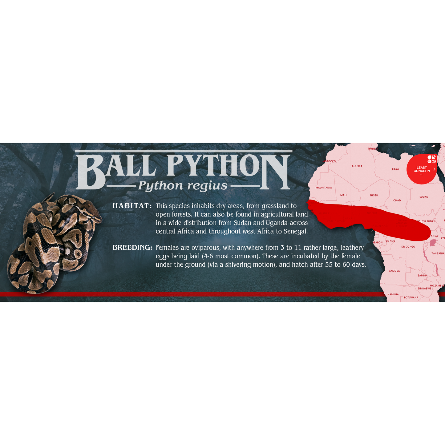 Stranger Species Special Edition Halloween Vivarium Label
