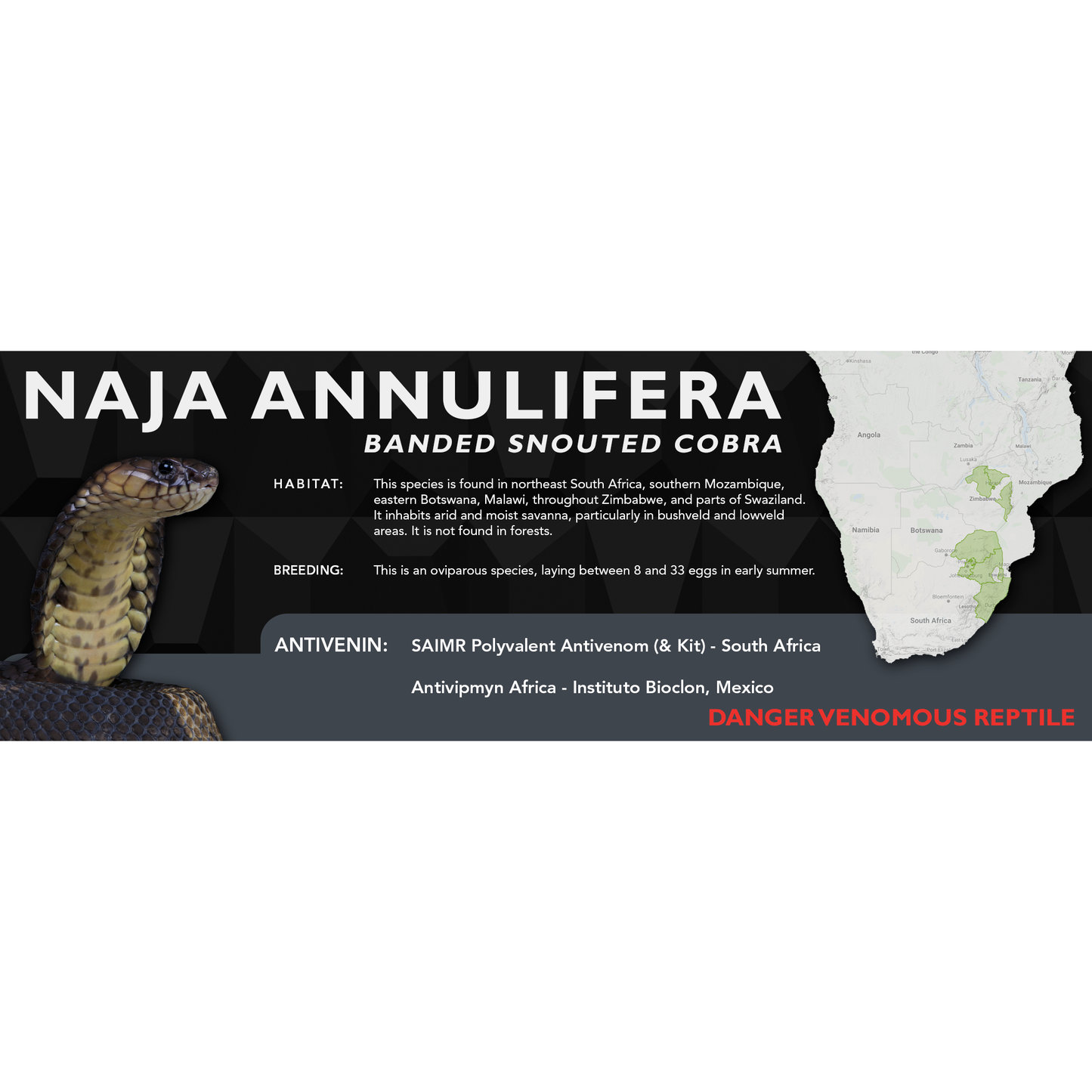 Banded Snouted Cobra (Naja annulifera) Classic Vivarium Label