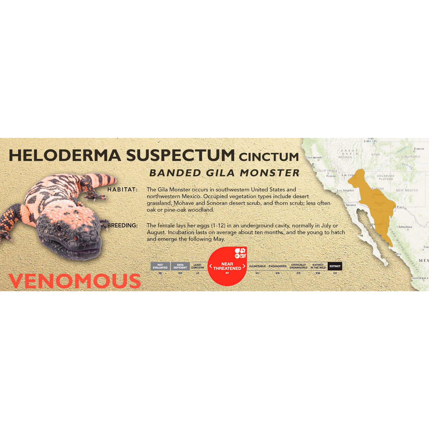 Gila Monster (Heloderma suspectum) Classic Vivarium Label