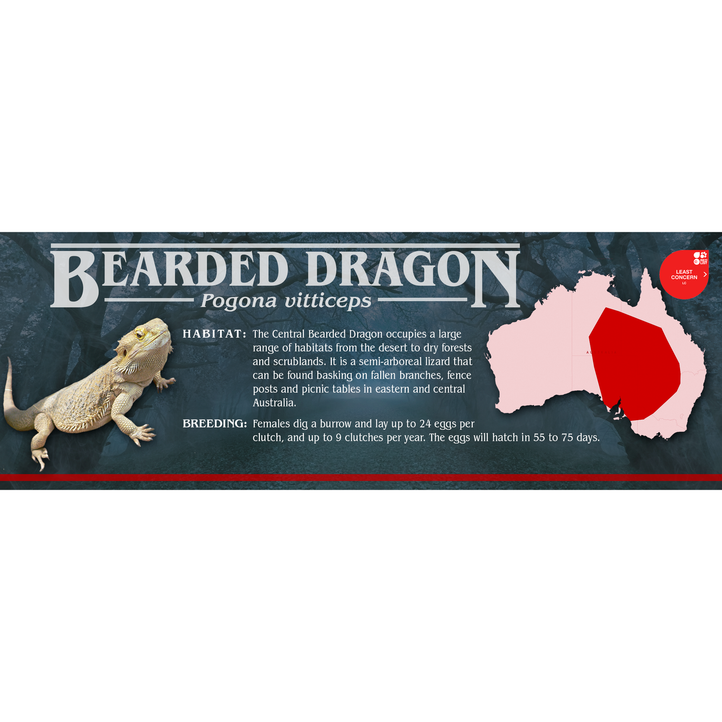 Stranger Species Special Edition Halloween Vivarium Label