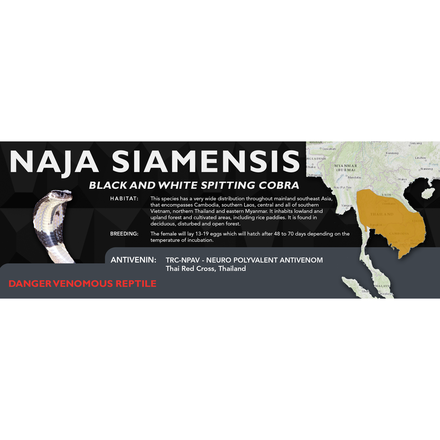 Black and White Spitting Cobra (Naja siamensis) Classic Vivarium Label