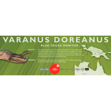 Blue-Tailed Monitor (Varanus doreanus) Standard Vivarium Label