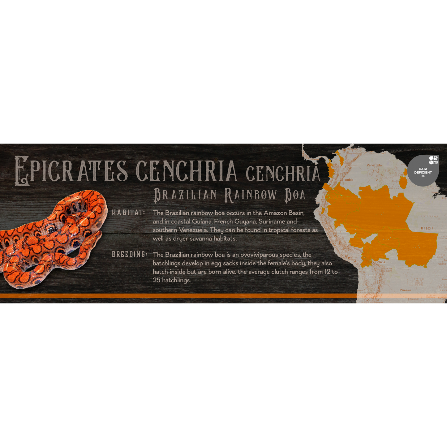 Special Edition Halloween Vivarium Label