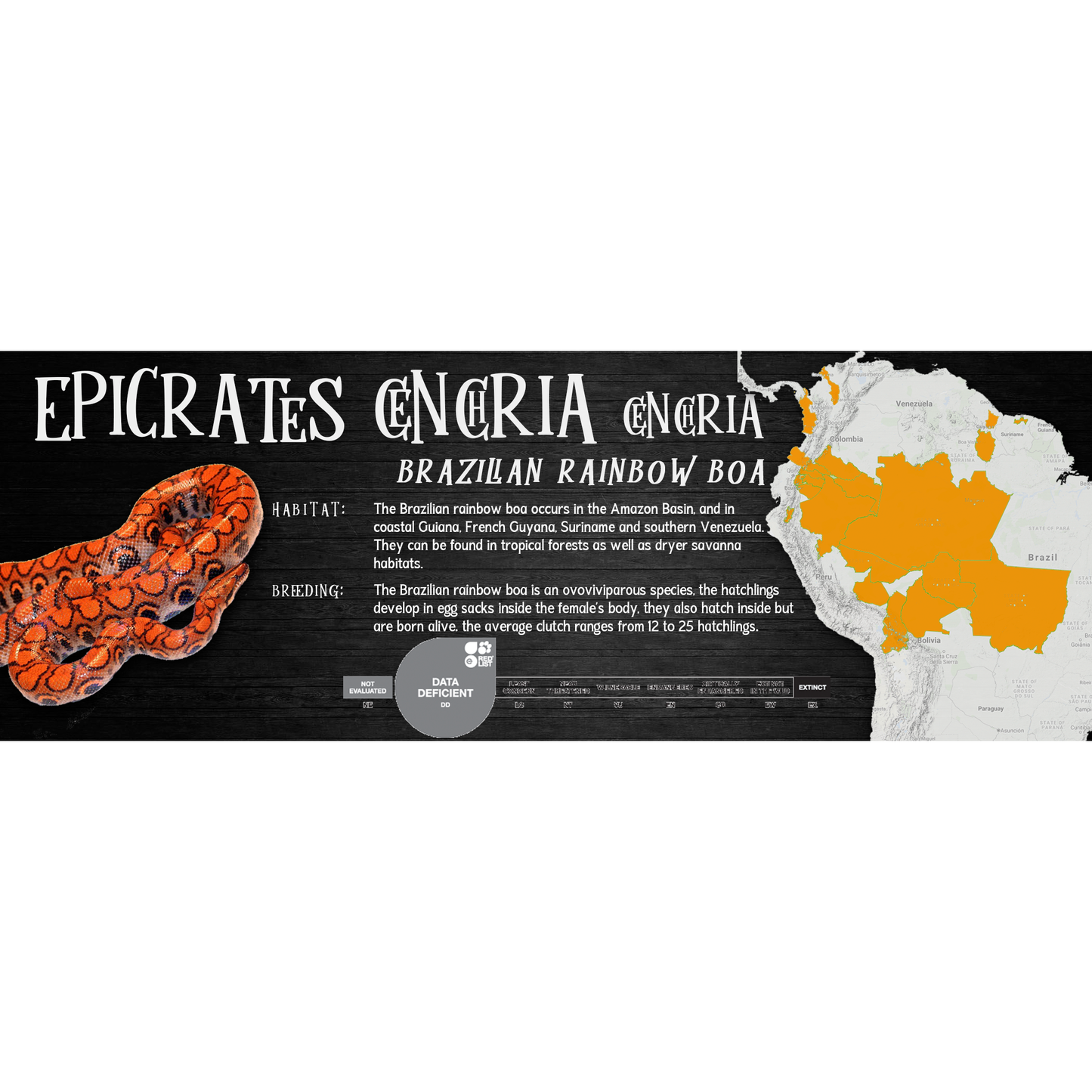 Special Edition Halloween Vivarium Label