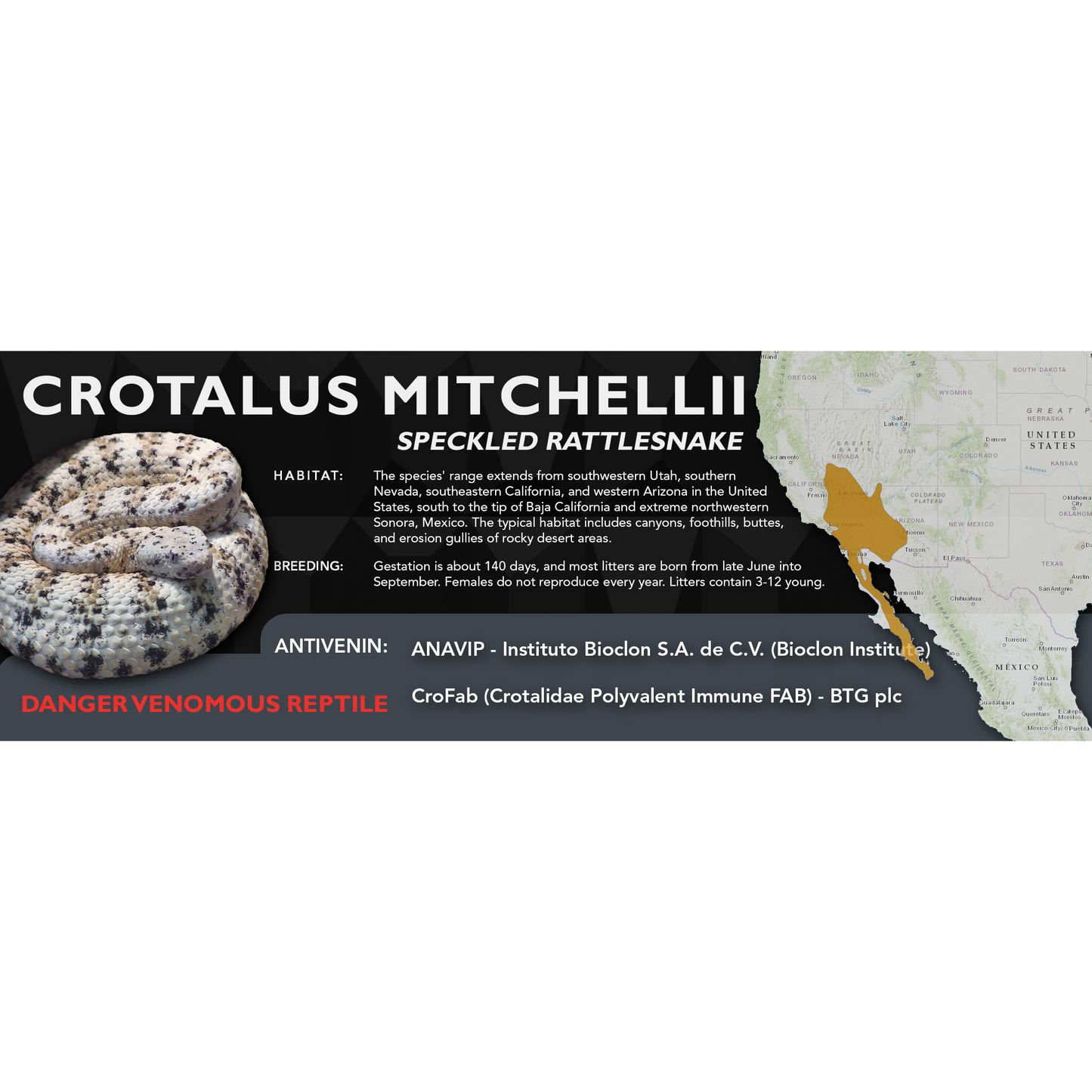 Speckled Rattlesnake (Crotalus mitchellii) Classic Vivarium Label