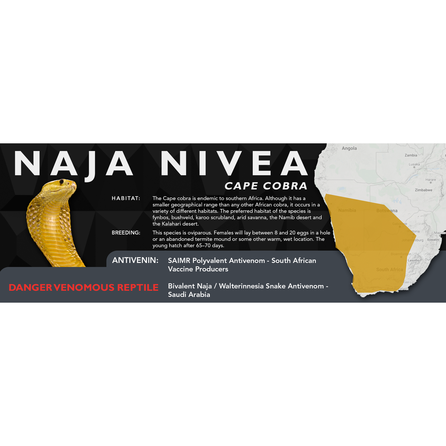 Cape Cobra (Naja nivea) Classic Vivarium Label
