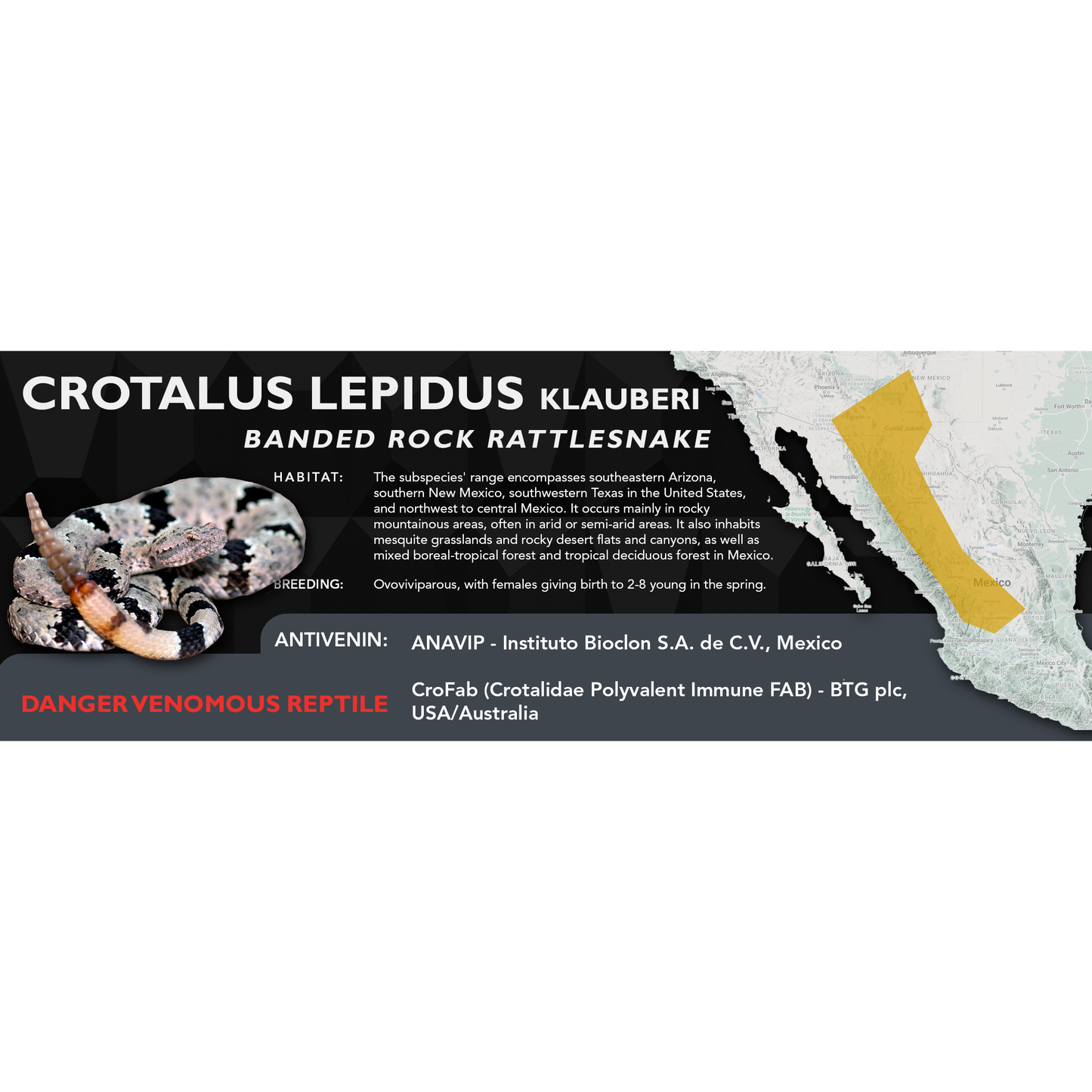 Banded Rock Rattlesnake (Crotalus lepidus klauberi) Classic Vivarium Label