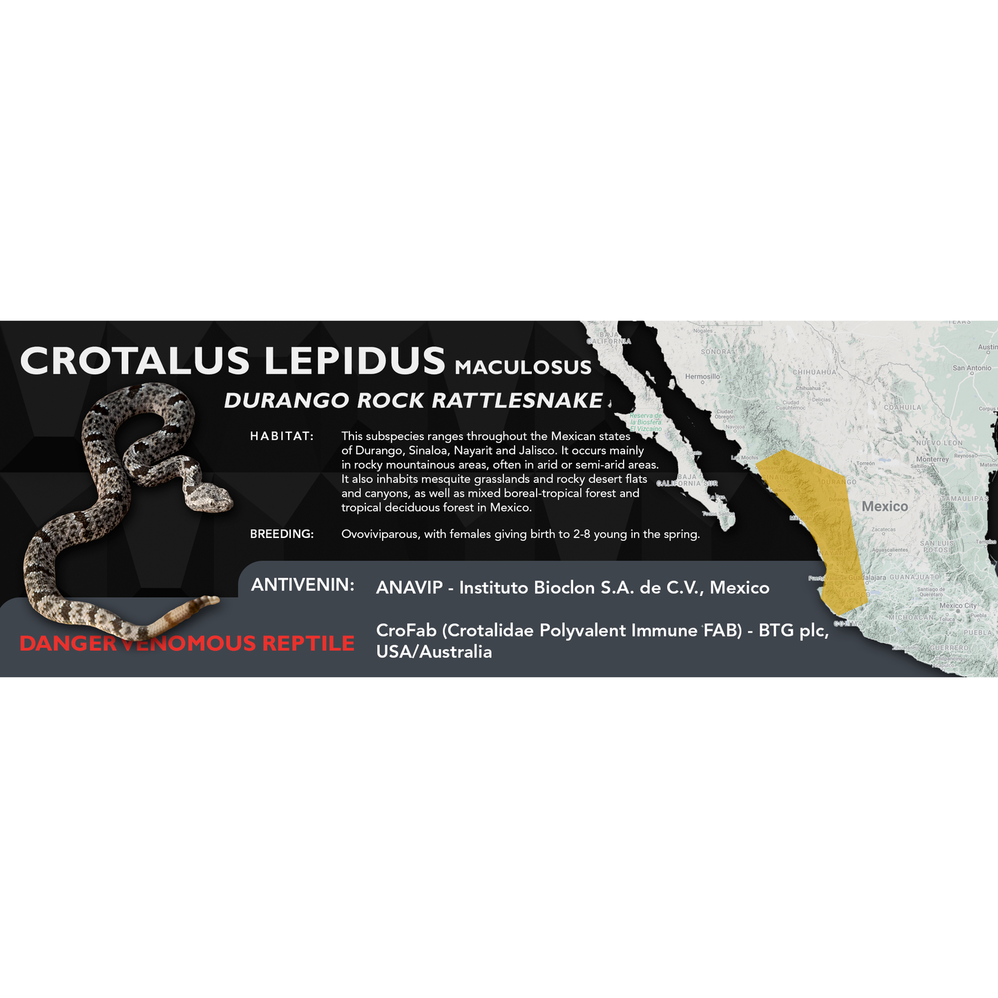 Durango Rock Rattlesnake (Crotalus lepidus maculosus) Classic Vivarium Label