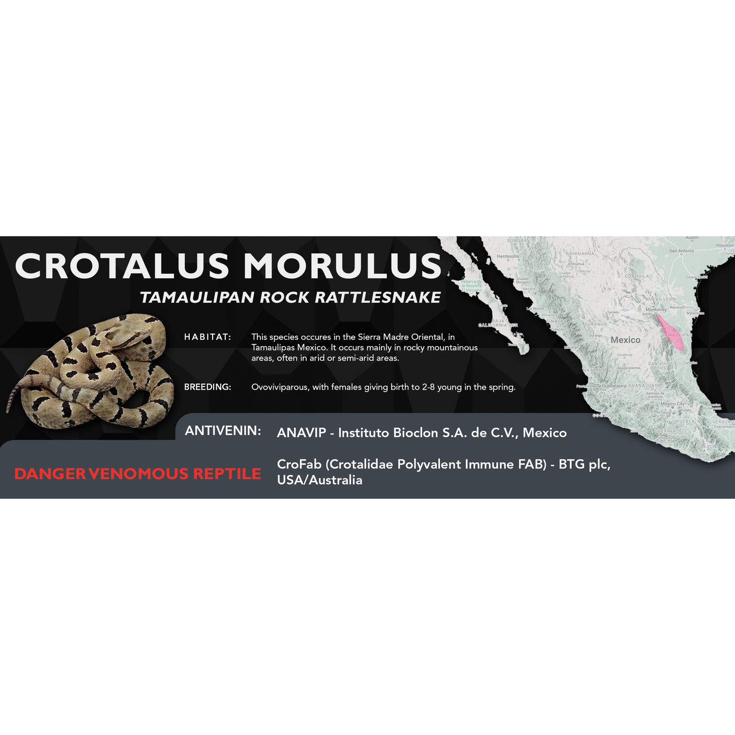 Tamaulipan Rock Rattlesnake (Crotalus morulus) Classic Vivarium Label