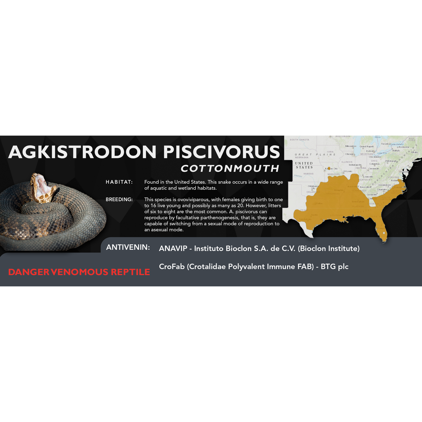 Cottonmouth (Agkistrodon piscivorus) Classic Vivarium Label