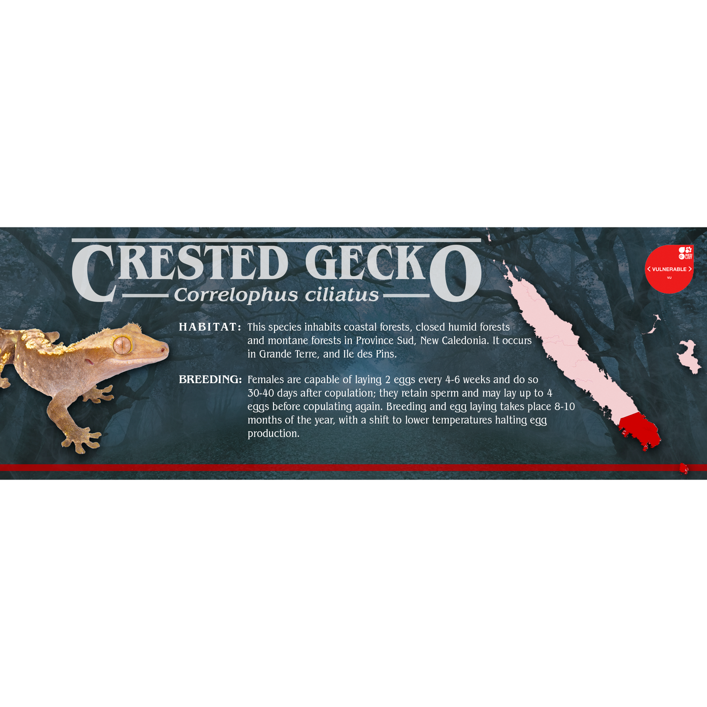 Stranger Species Special Edition Halloween Vivarium Label