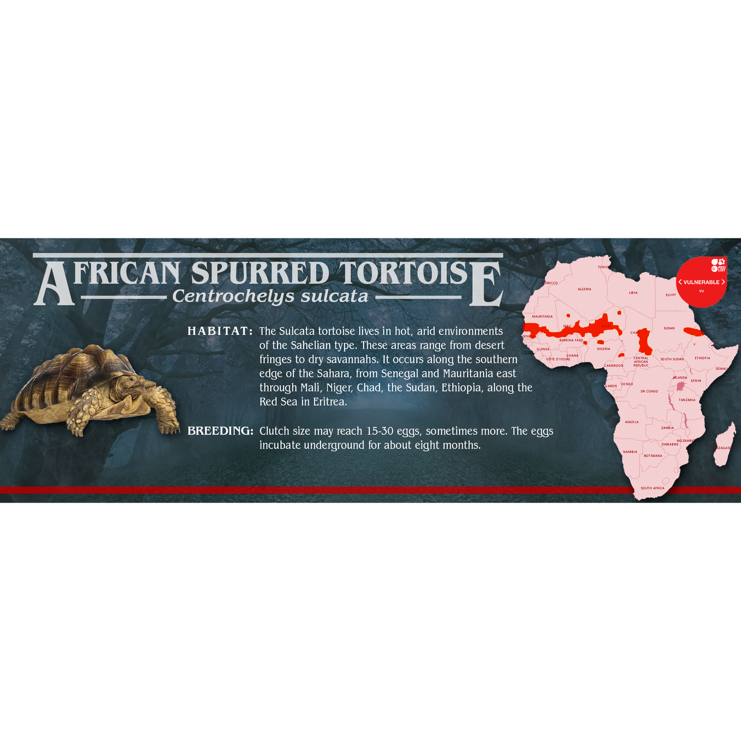 Stranger Species Special Edition Halloween Vivarium Label