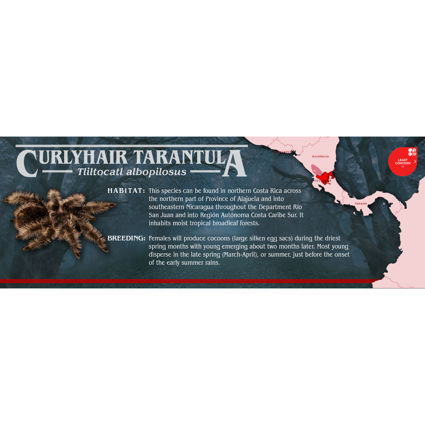 Stranger Species Special Edition Halloween Vivarium Label