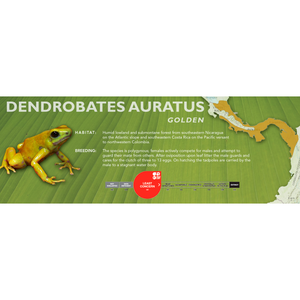 Dendrobates auratus - Standard Vivarium Label