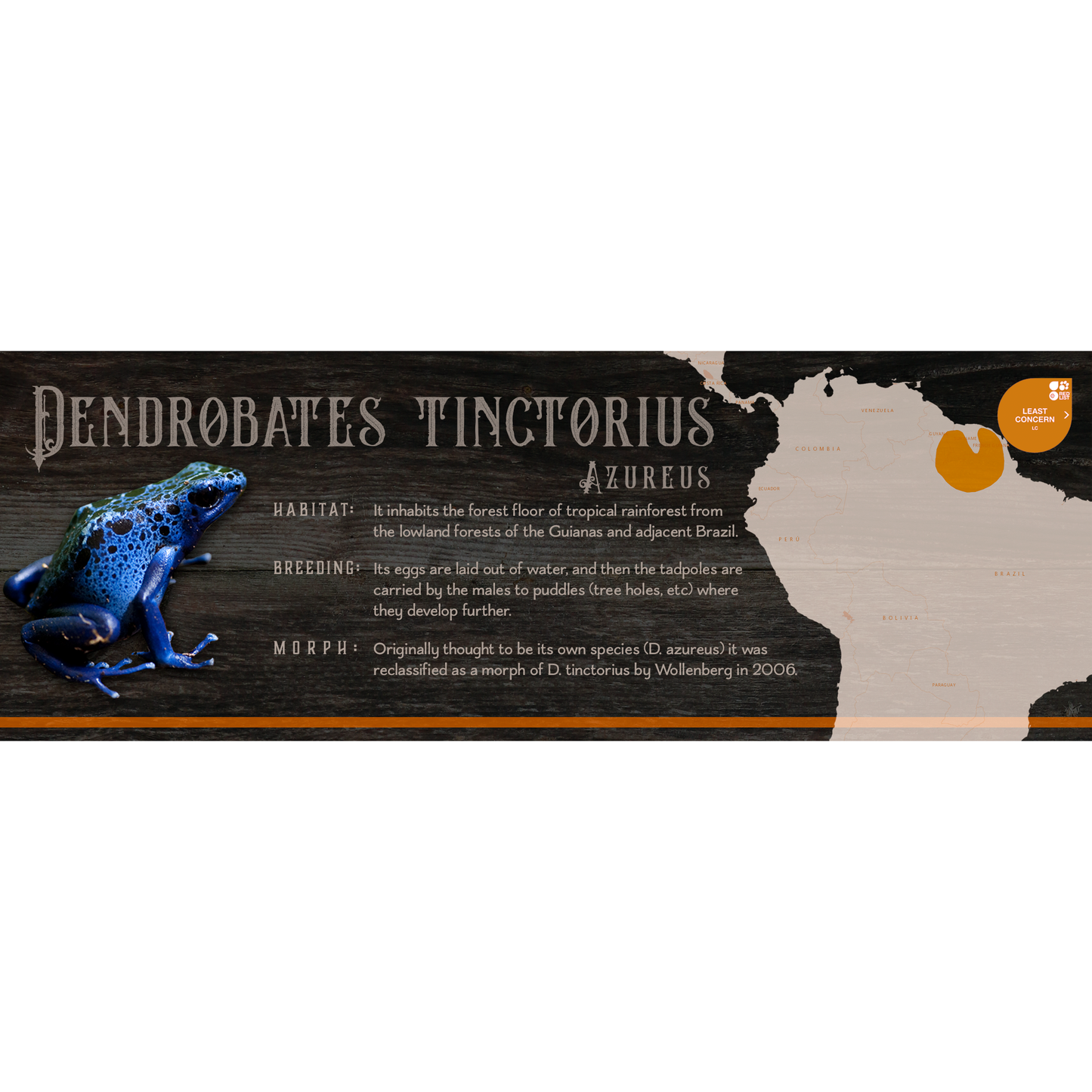 Special Edition Halloween Vivarium Label