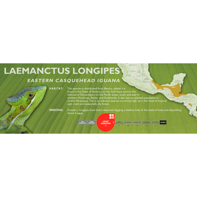 Eastern Casquehead Iguana (Laemanctus longipes) Standard Vivarium Label